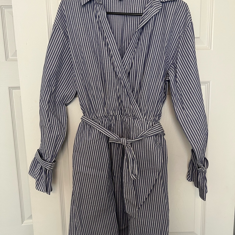 Express Blue Striped Shirt